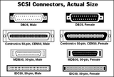 External ZuluSCSI v6.4 SCSI SD Drive